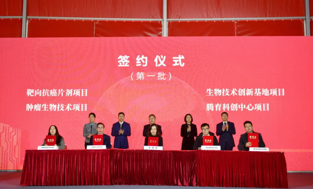 高架桥用的架子_高架桥架子_高分子桥架