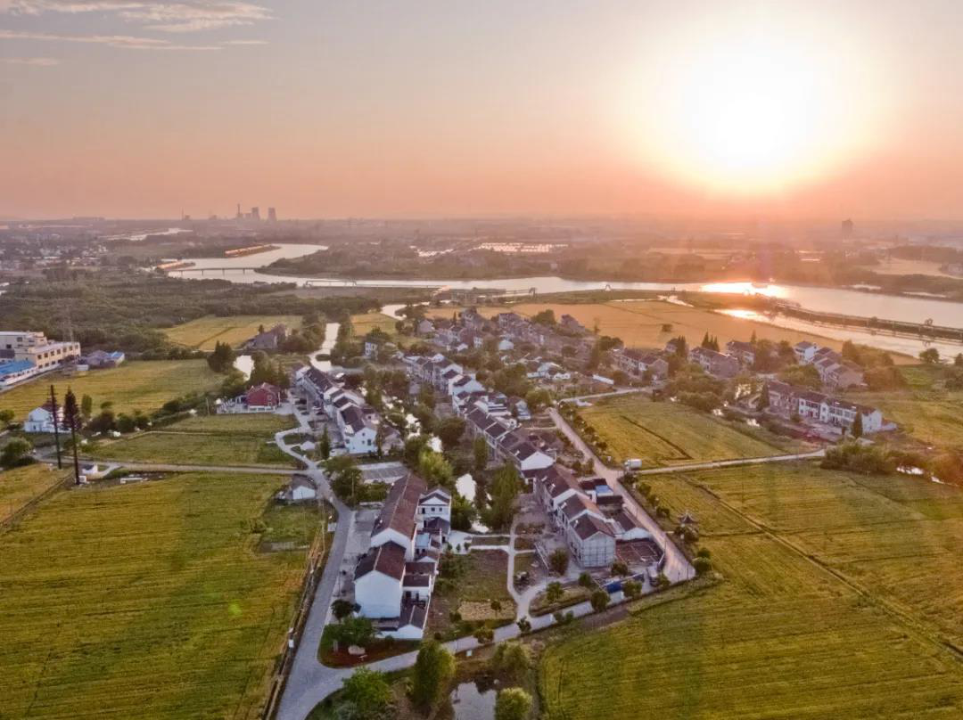 高架桥用的架子_高分子桥架_高架桥架子