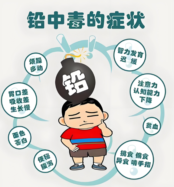 铅中毒与肠道菌群：从天水事件看微生物的"解毒"潜力 