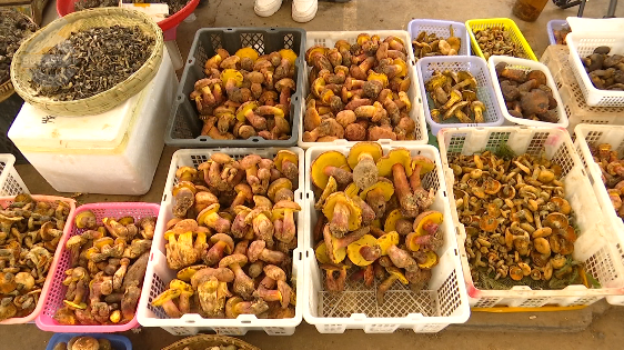 手动病床怎么装视频​【视频合集】云南大哥大姐“吃菌中毒”，病床上“胡言乱语”太搞笑！_https://www.jmylbn.com_新闻资讯_第11张