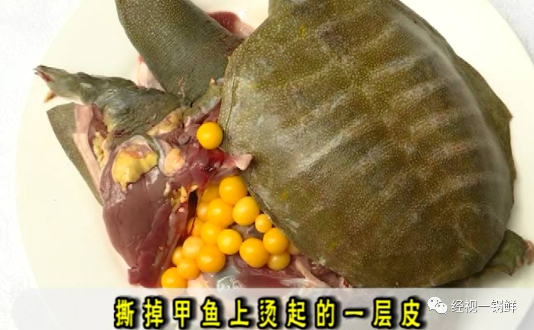 80度的水中烫皮,撕掉壳子上的一层皮,切开甲鱼壳,取出甲鱼蛋,甲鱼肝