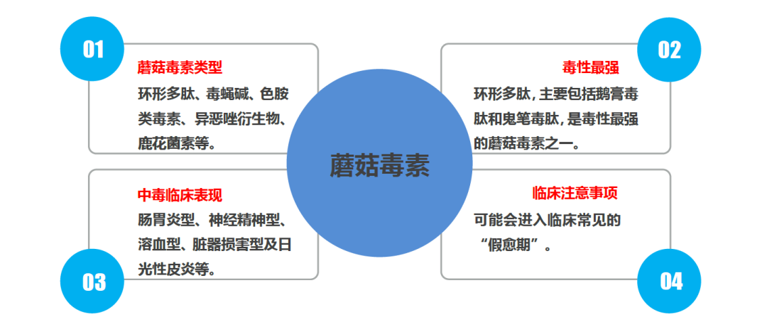 小心蘑菇成魔菇关于蘑菇毒素的检测