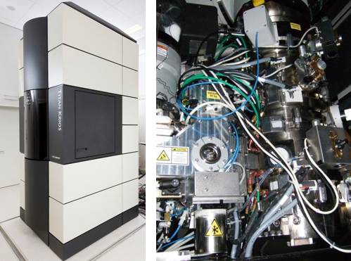 titan krios系统整体结构(左)和内部结构(右)