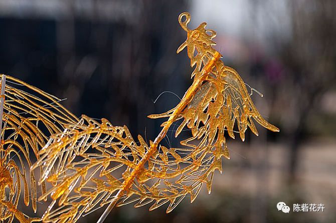 【鄭汴路店】——來陳砦花卉鄭汴路店過傳統(tǒng)中國年