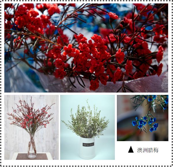 用小碎花打敗你 