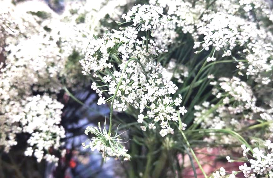 用小碎花打敗你 