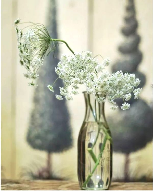 用小碎花打敗你 