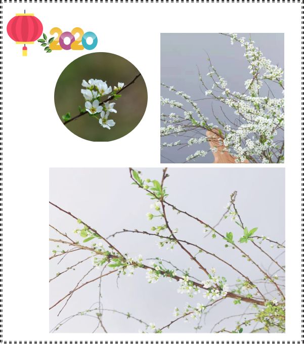 用小碎花打敗你 