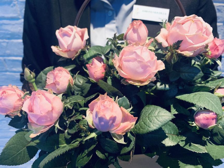 【大學(xué)路店】--我們這5年--陳砦花卉鄭汴路店5周年店慶