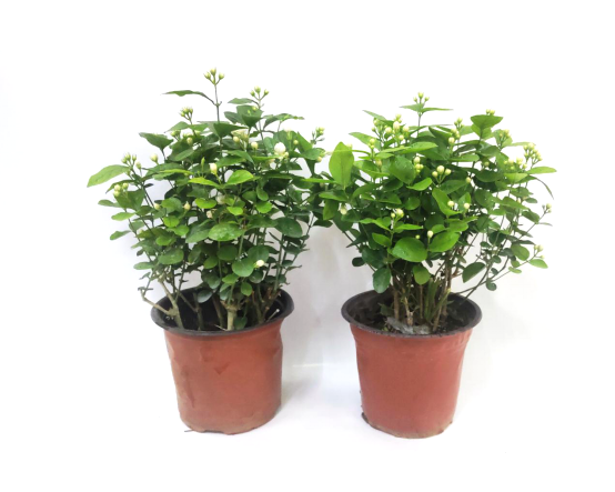 |福利贴|带你重返童年--阔别两周，想我了嘛？