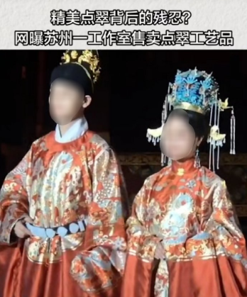 一只鸟取28根羽毛，造就惊艳世界的蓝色，这种“残忍的美丽”让