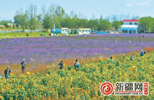 你的秋冬遊，來烏魯木齊是個好選擇… 旅遊 第10張