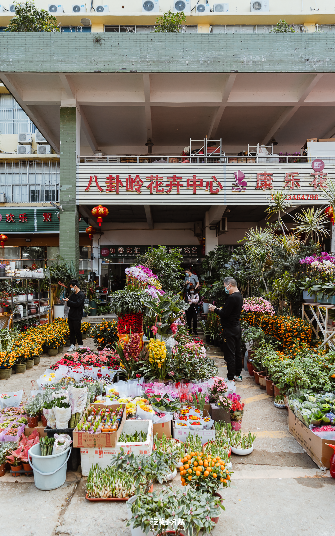 深圳买花最便宜的地方(深圳哪里可以买花和花盆)