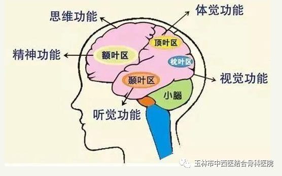 经颅磁治疗怎么样我院康复医学科引进康复“神器”——经颅磁刺激治疗仪_https://www.jmylbn.com_新闻资讯_第4张