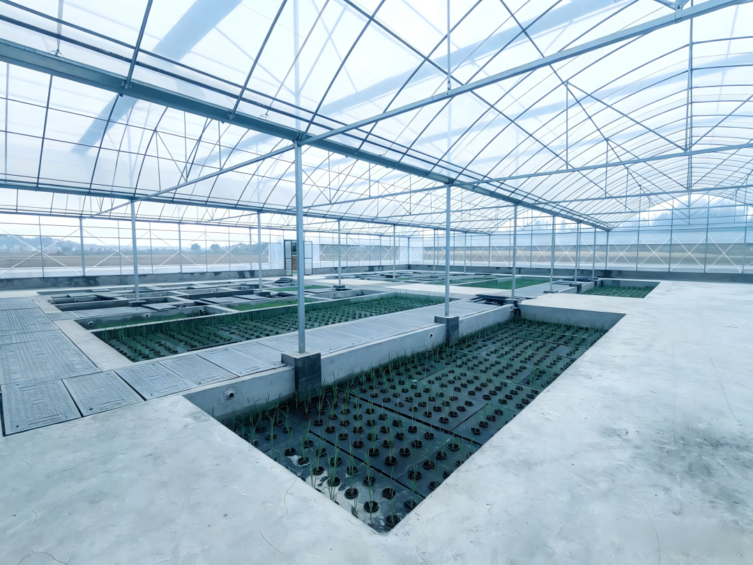 重庆智能植物温室项目：全链路科研级农业实验平台，即将竣工！