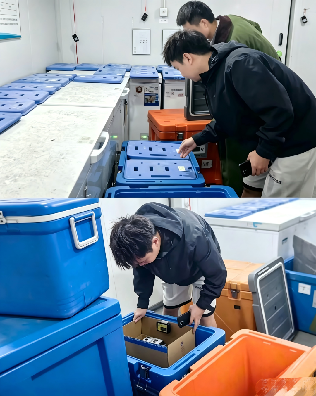 迎酷暑，守合规｜微松科技 GSP 冷链验证，筑牢药品储运温控防线