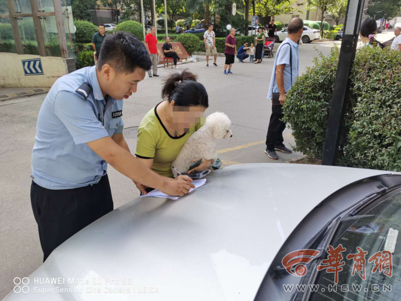 第一次寫保證書！第二次還不改？西安警方開出首張不文明養犬罰單 寵物 第10張