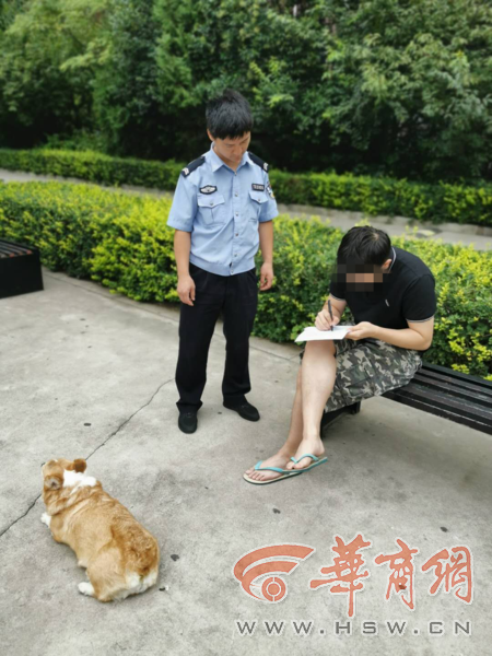 第一次寫保證書！第二次還不改？西安警方開出首張不文明養犬罰單 寵物 第4張