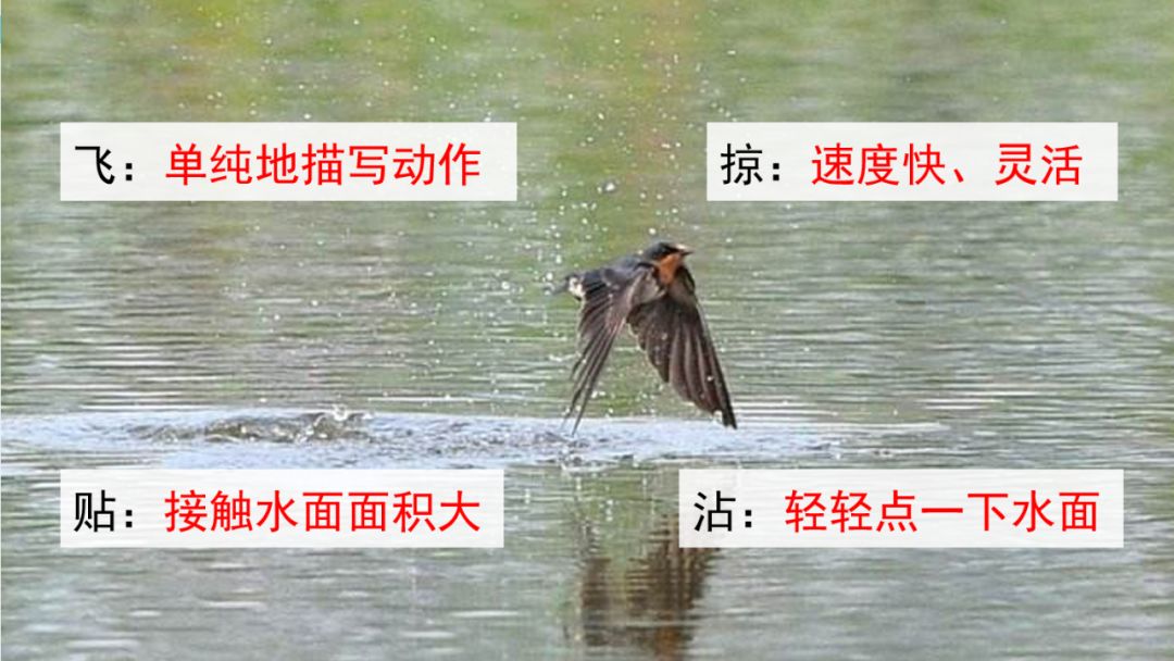 近義詞解凍一()_近義詞解凍的近義詞_解凍的近義詞