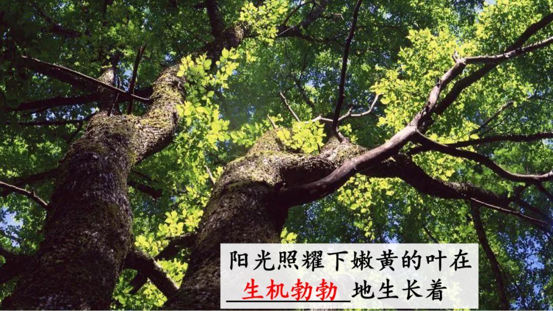 近義詞解凍一()_解凍的近義詞_近義詞解凍的近義詞