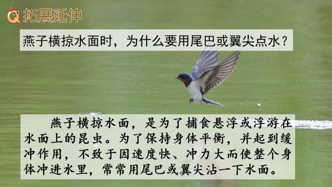 近義詞解凍一()_解凍的近義詞_近義詞解凍的近義詞