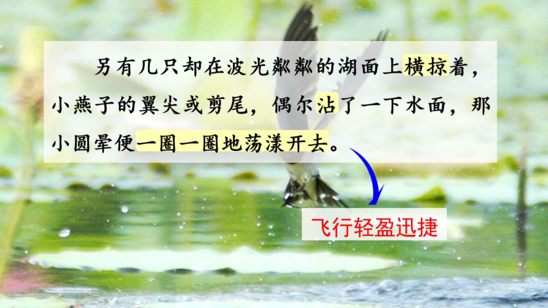 近義詞解凍的近義詞_解凍的近義詞_近義詞解凍一()