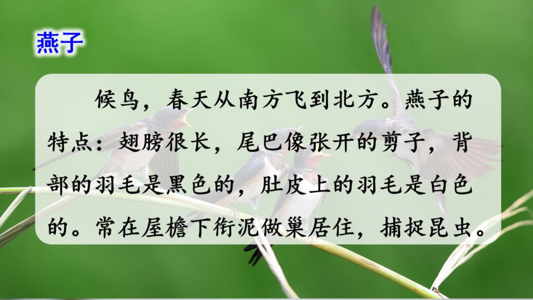 近义词解冻的近义词_近义词解冻一()_解冻的近义词