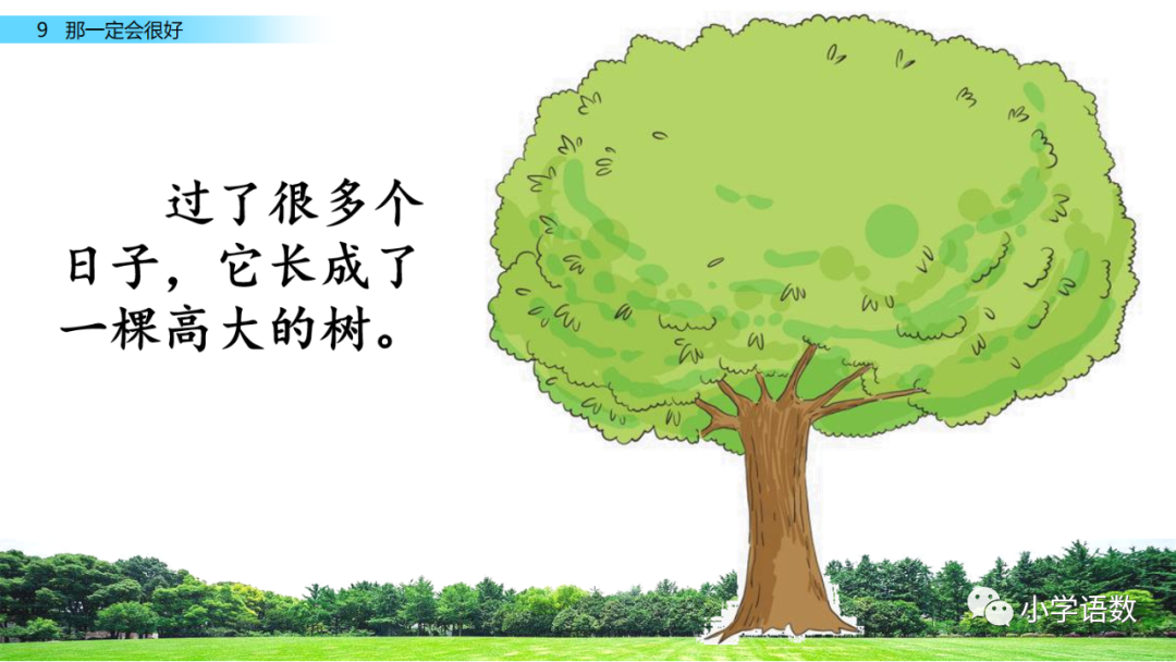 滾輪椅子傷木地板嗎_不傷木地板的椅子_木椅子腿斷了咋修