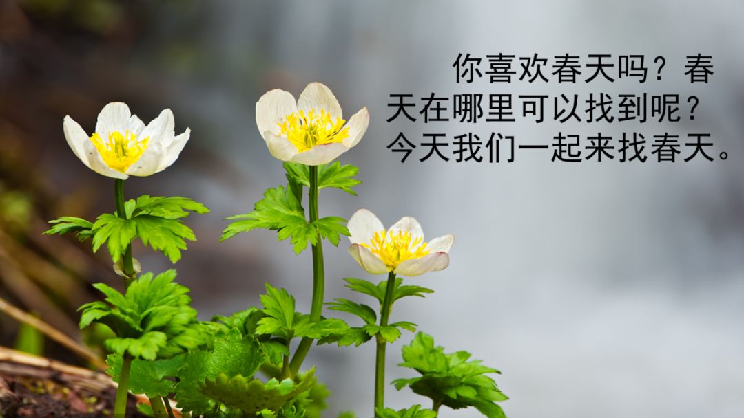 近義詞解凍的近義詞_解凍的近義詞_近義詞解凍一()