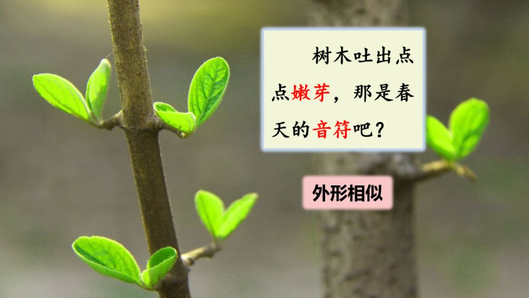 近義詞解凍的近義詞_解凍的近義詞_近義詞解凍一()