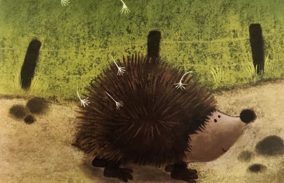 很多父母，被孩子惯坏了-兜得慧