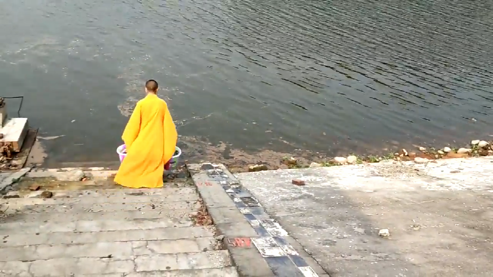 放生的功德和福报巨大，但不可胡乱放生！