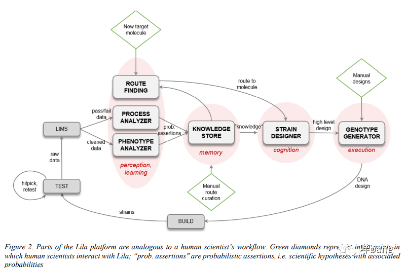 Lila算法：美国Amyris公开自动化菌种设计平台技术！的图2