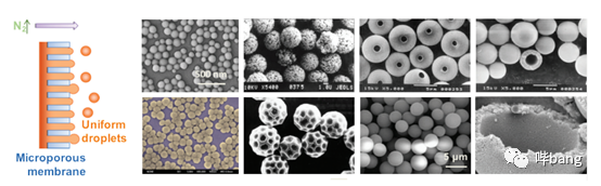 中国生物化工简史-生物制药