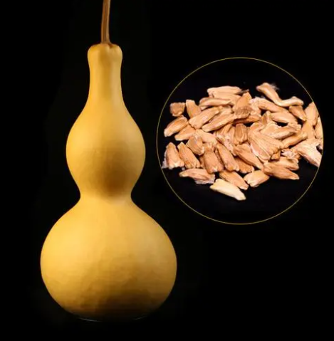 葫芦选栽种日常土种养护方法_葫芦种植时间和方法_葫芦种植的土壤要求