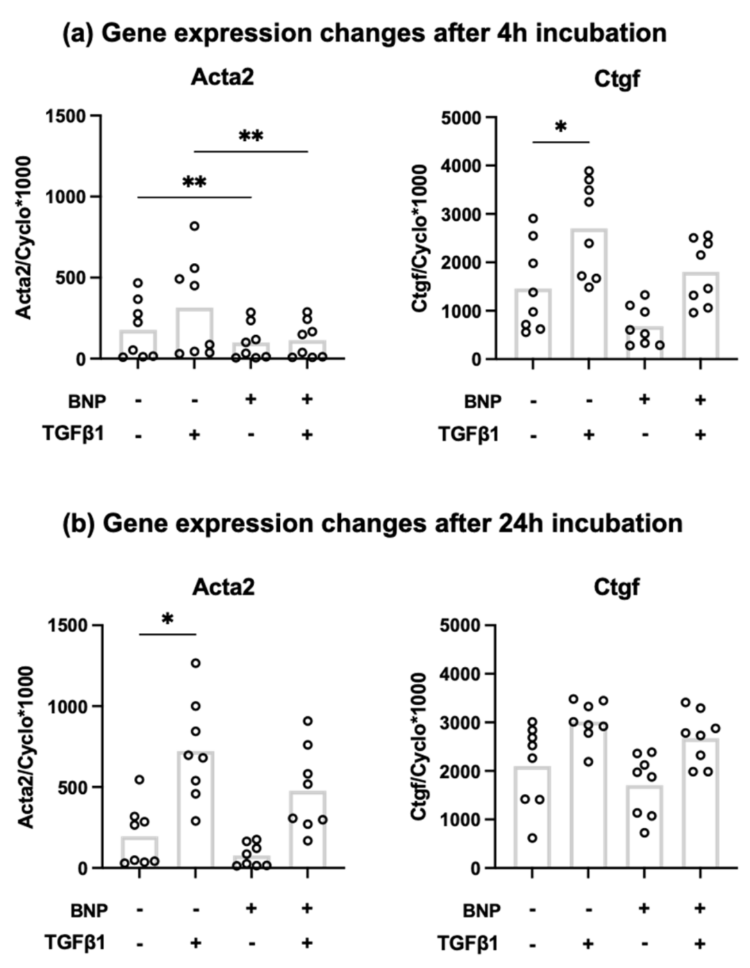 Piezo1 机械敏感离子通道介导成年大鼠心脏成纤维细胞中拉伸诱导的 Nppb 表达