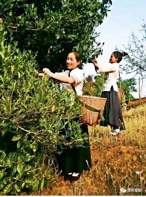 《璟海中醫瑜伽》巧克力長效瘦身瑜伽 運動 第83張