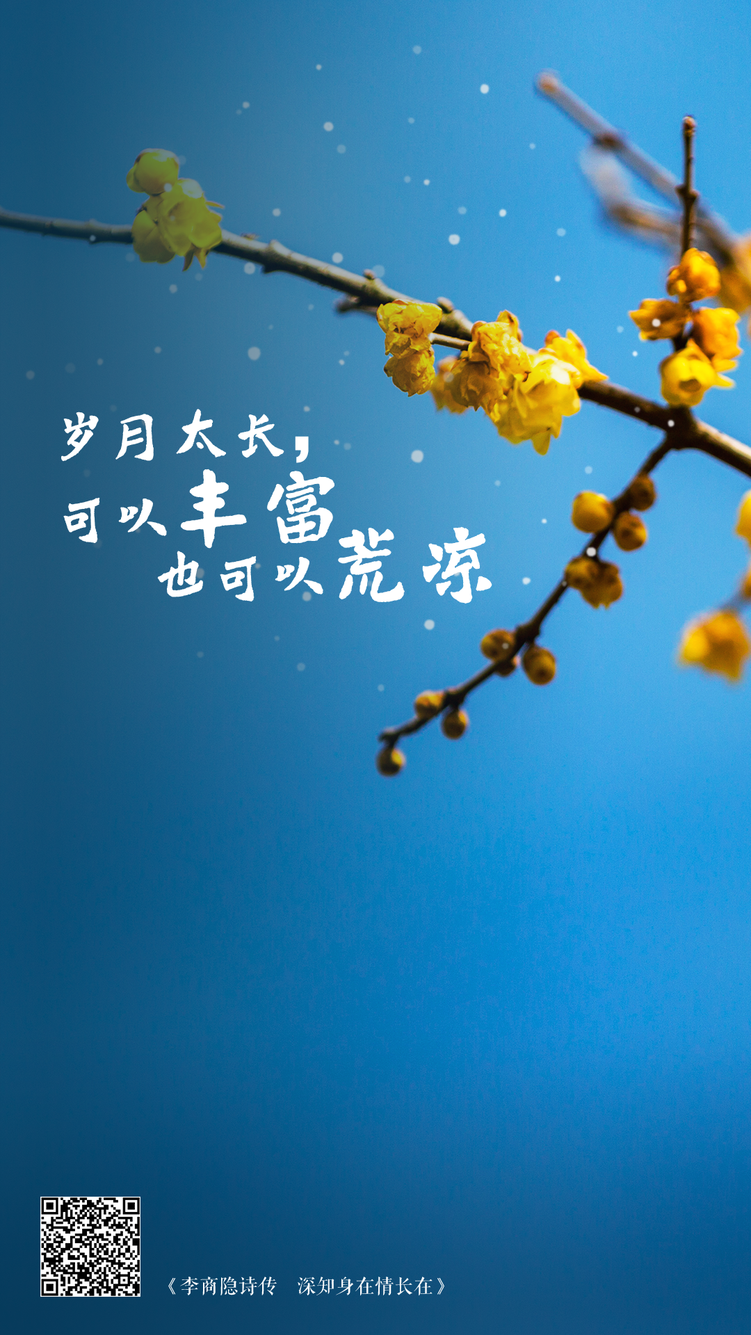 新书推荐诗书作伴