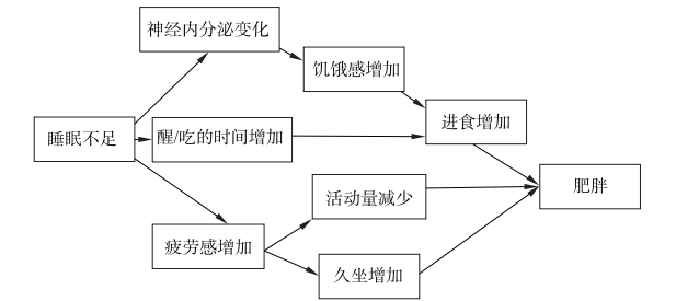 睡不够也可能变胖