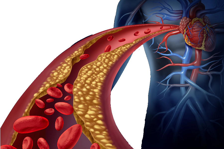 c02ca2c07fd30322b22617a2b885725e (1).png