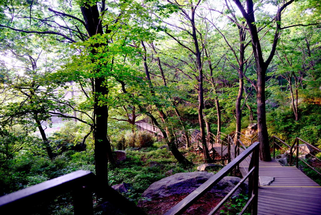 秋高气爽森呼吸这些森林氧吧等你来