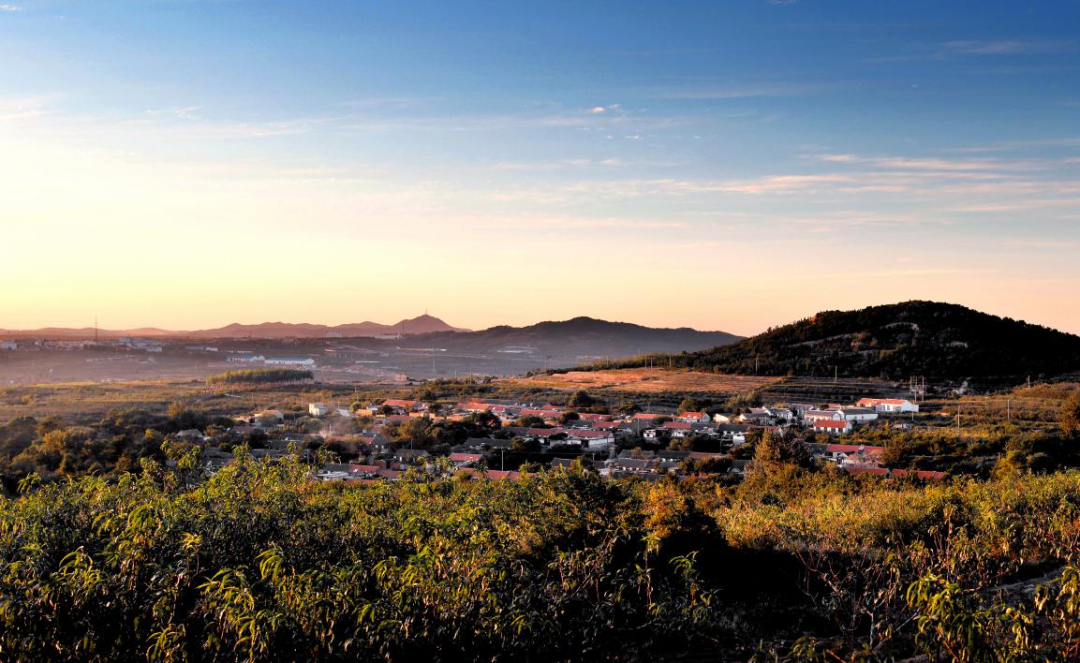 山东7村3镇入选全国乡村旅游重点村镇乡