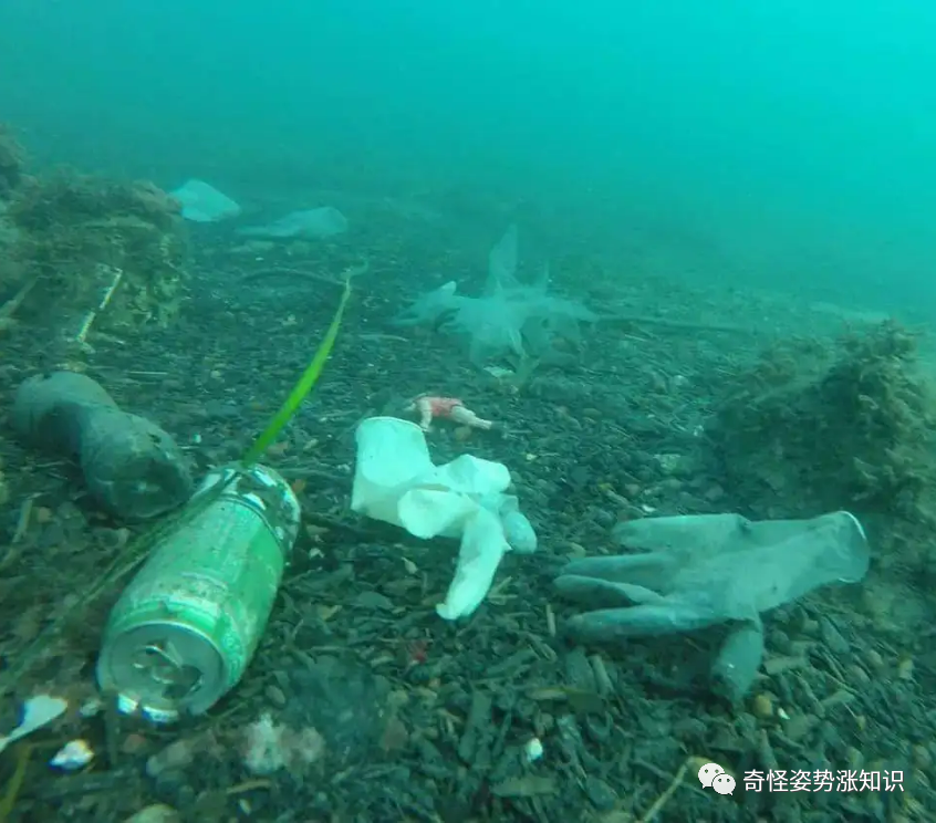 海沟经验心得_海沟经验心得_海沟经验心得