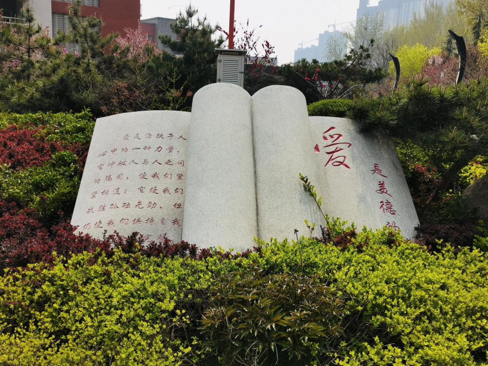 【岱岳教育非凡十年展播】岱岳实验中学:春风化雨育桃李 大爱润心谱