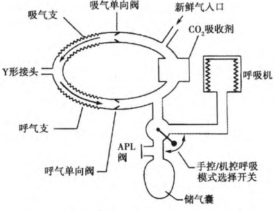 麻醉机用什么消毒麻醉机内呼吸回路消毒及灭菌的指导建议_https://www.jmylbn.com_新闻资讯_第3张