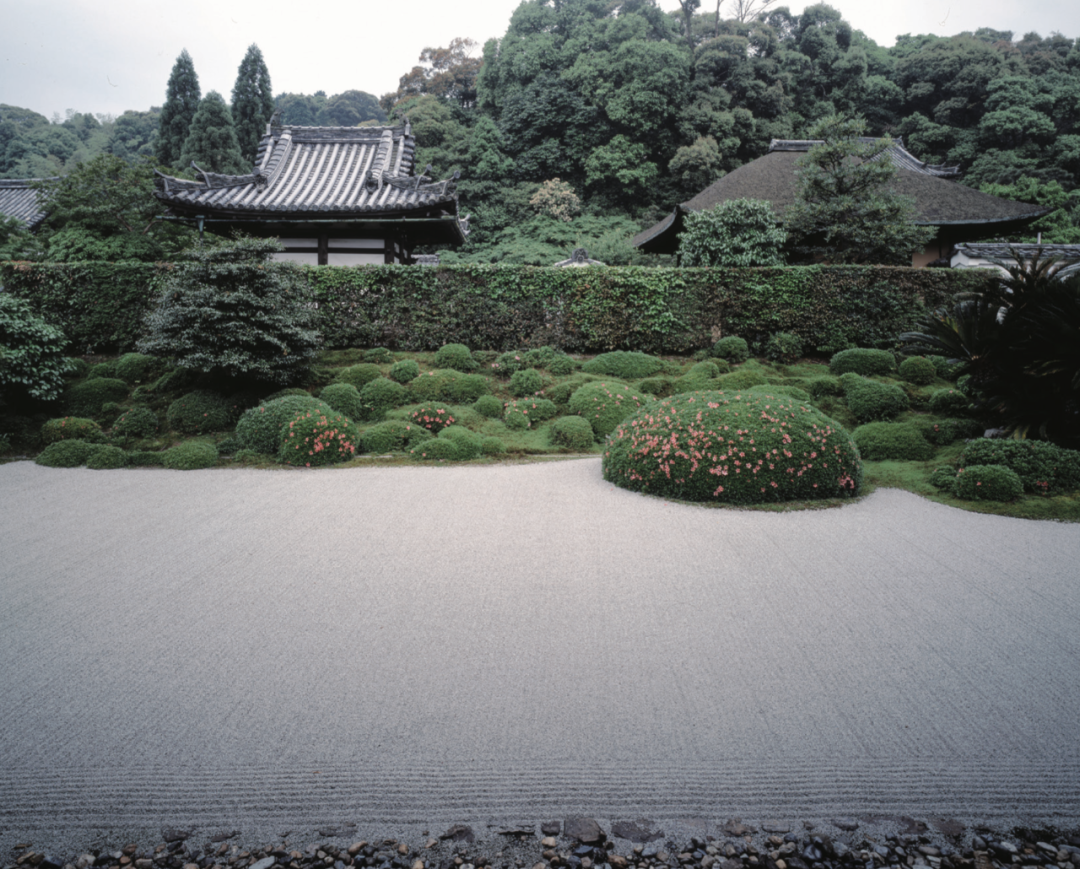 愛上京都，從庭園開始 旅遊 第5張