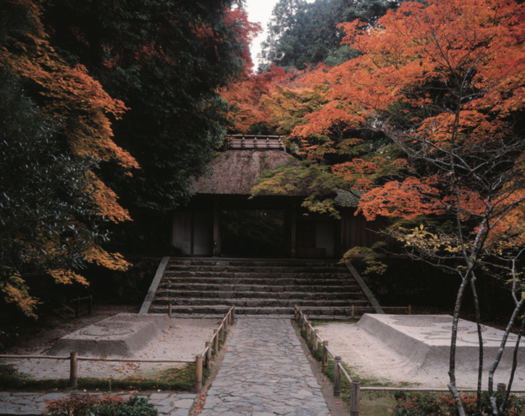 愛上京都，從庭園開始 旅遊 第9張