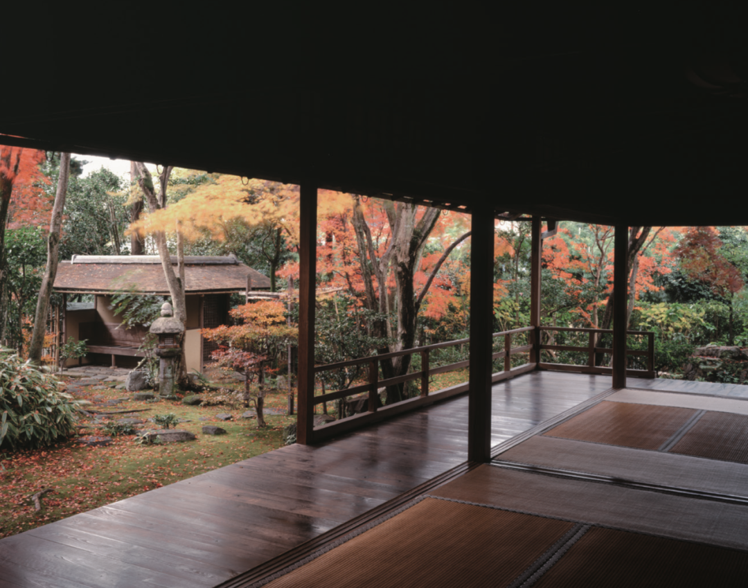 愛上京都，從庭園開始 旅遊 第3張