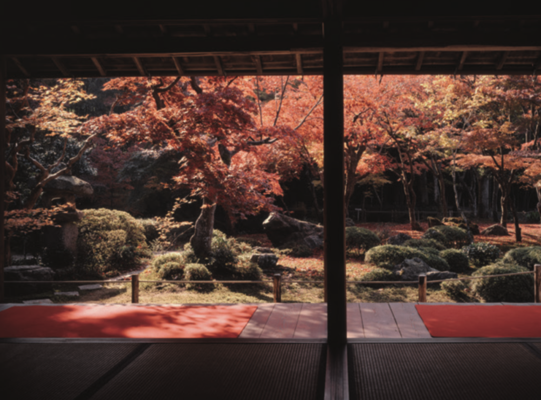 愛上京都，從庭園開始 旅遊 第6張