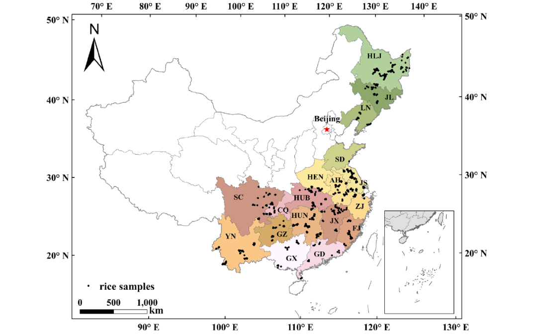 Food Chemistry | 构建中国大米C/H/O稳定同位素的景观图